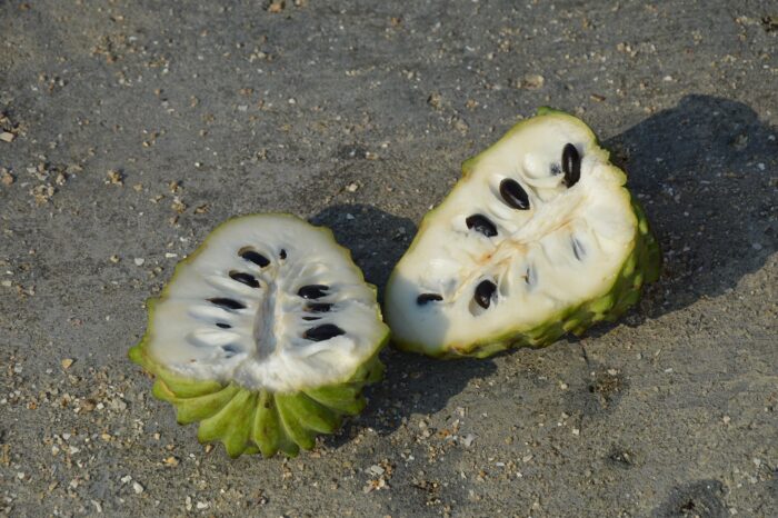 Custard (Sugar) Apple - Image 2