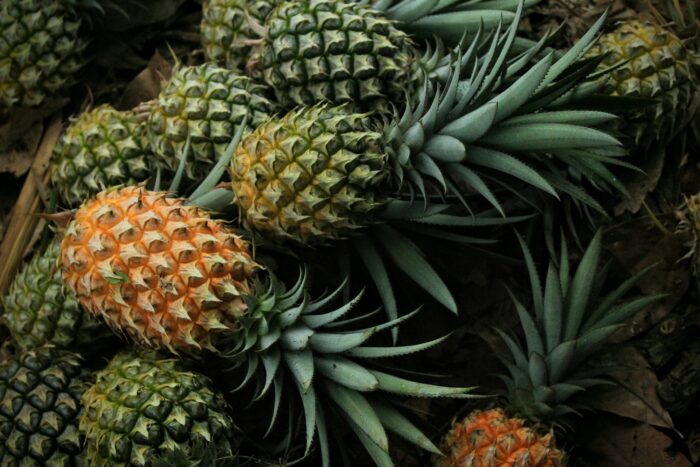 PineApple