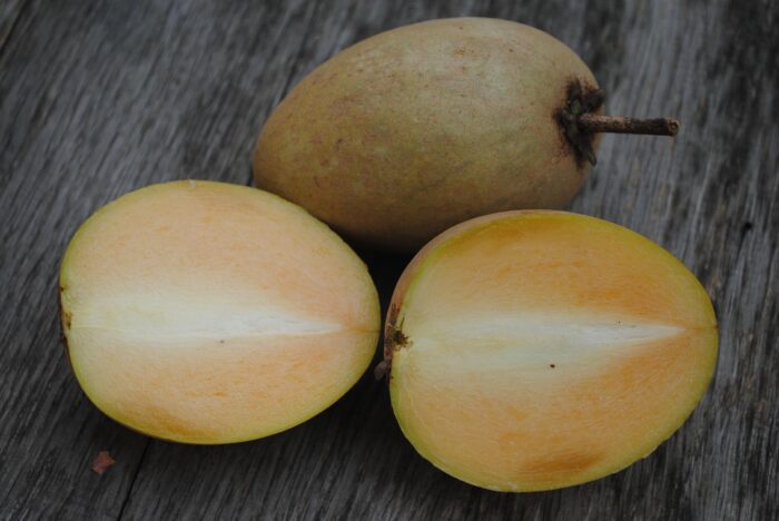 Sapodilla ( Chikku ) - Image 3