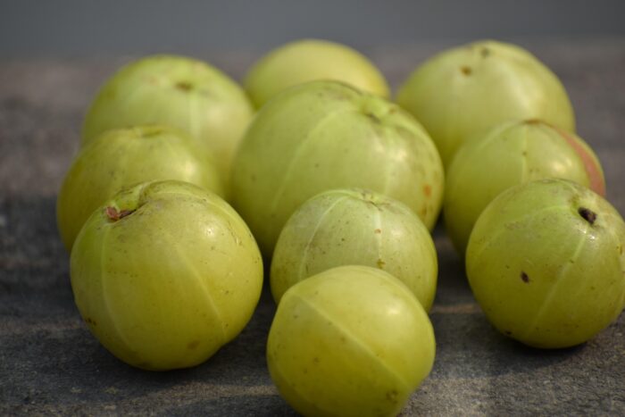 Amla - Image 2